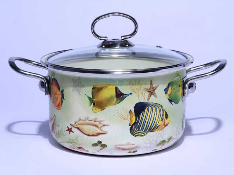 直壁湯鍋-熱帶魚